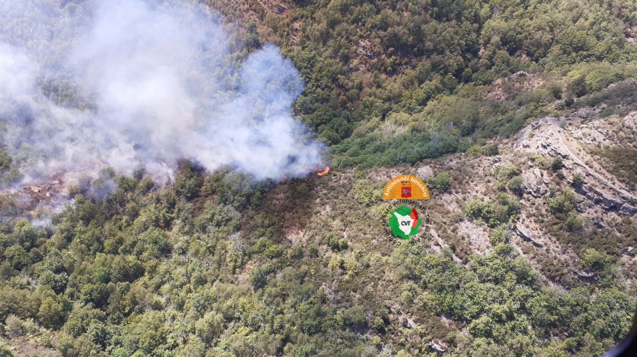 Immagine Fiamme nei boschi di Reggello (Fi), tre elicotteri in azione